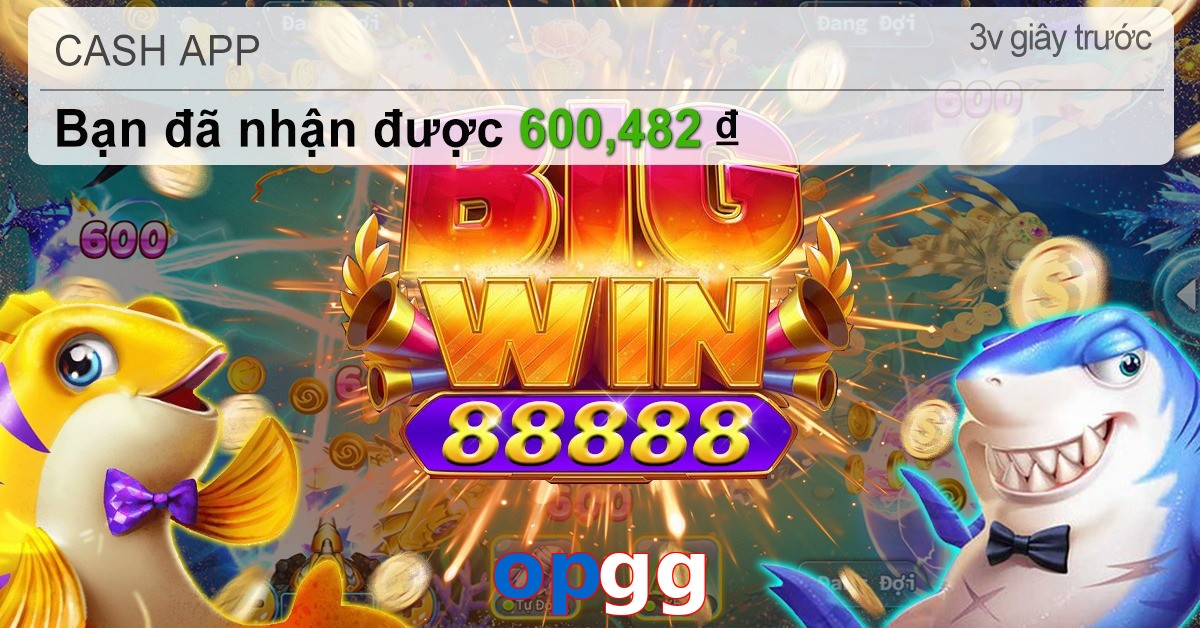 opgg
